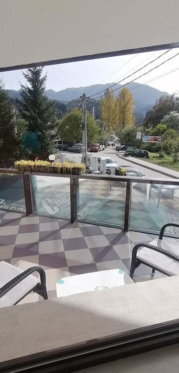 Фото номера Двухместный номер с 1 кроватью и видом на горы Гостевой дом Vila 7 Scări г. Тимишу-де-Жос 6