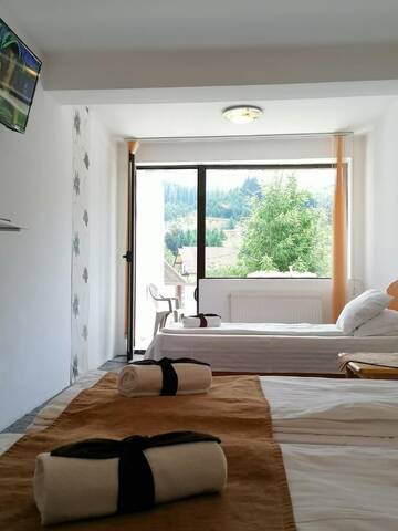 Фото номера Трехместный номер с видом на горы Гостевой дом Vila 7 Scări г. Тимишу-де-Жос 7